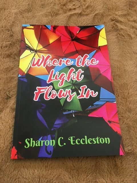 A book cover with the title where the light flows in.